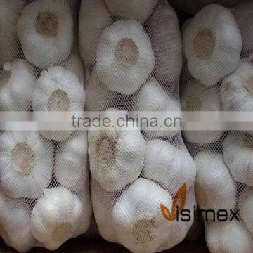 Vietnam White Garlic