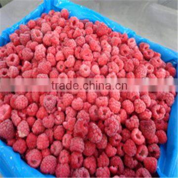 new crop IQF frozen raspberry for export