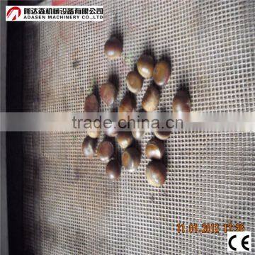 Stainless Steel Chestnuts Microwave Roasting Machine/Drying Equipment