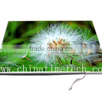 China 17.0" LCD Screens B170PW03 V.0