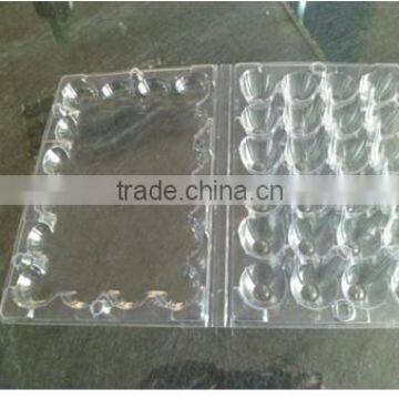 Quail Egg Boxes