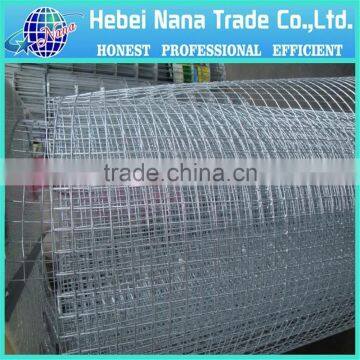 Cheap Electro Galvanized Welded Wire Mesh From China photo-4