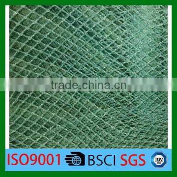 HDPE virgin material with UV bird net for agricultural