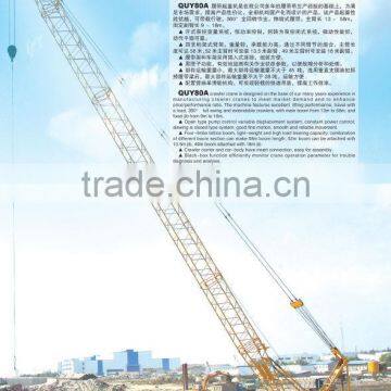 Europ type:QUY80E Crawler Crane