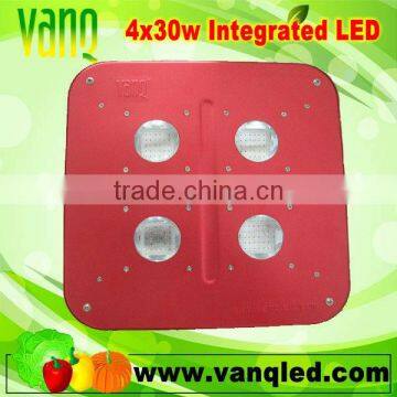 King Led Grow Light,120w High Power Lef Light ,growing Led Light