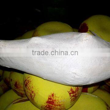 Terracotta Coin Bank photo-6