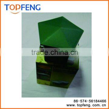 Snails Trap Snail Nest photo-2