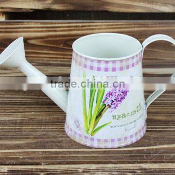 2014 autumn new design flower watering can garden pot