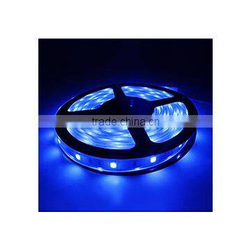 12V 5050 rgbw led strip, waterproof strip light led with CE