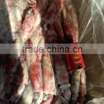 Frozen Loligo Squid Chinensis photo-4