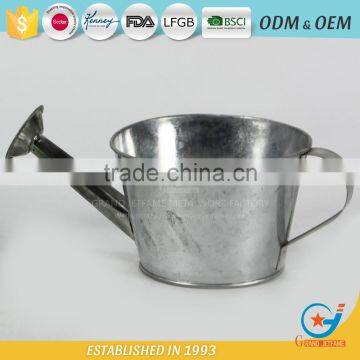 Iron Powder Coating Water Plant for Flowers Floral Watering Can photo-6