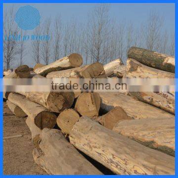Factory Direct Paulownia Door Wood photo-6