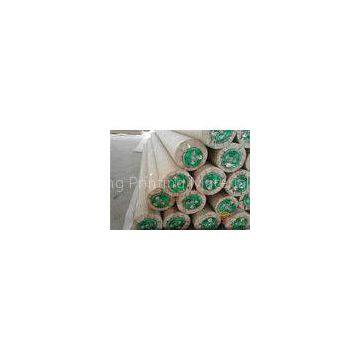Outdoor / Indoor Advertising PVC Polyester Banner Roll , Anti Flame Flex Banner Marerial
