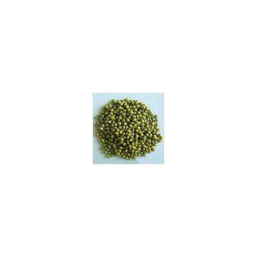 Green Mung Bean