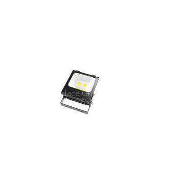 New type 100 Watt Bridgelux Waterproof LED Flood Light , Eco-friendly IP65 Exterior Flood Lighting