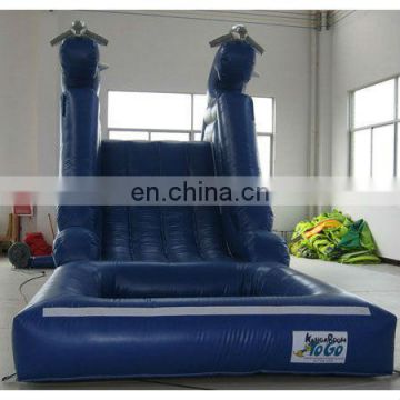 Inflatable dolphin water pool Slide,