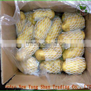 100% Organic Apple/Fuji Apple/Fresh Apples photo-4