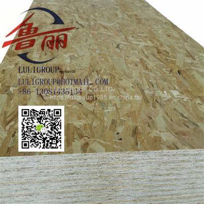 Luligroup Osb5 photo-5