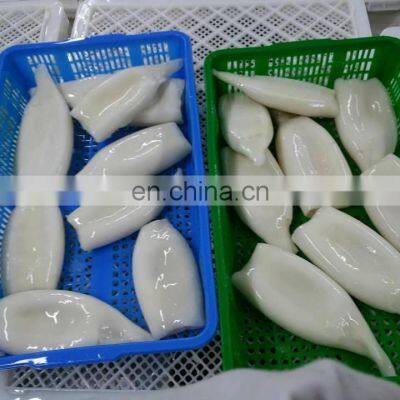 Frozen Illex Squid Tube Price Seafood photo-5