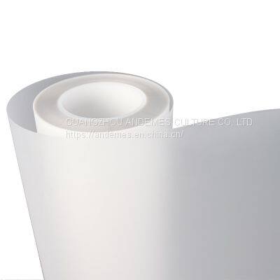 A3 13inch 11.8inch DTF Film Roll Glossy /Matte PET Films for DTF Printing Machines Hot/Cool Peel PET Heat Transfer Vinyl Film photo-2