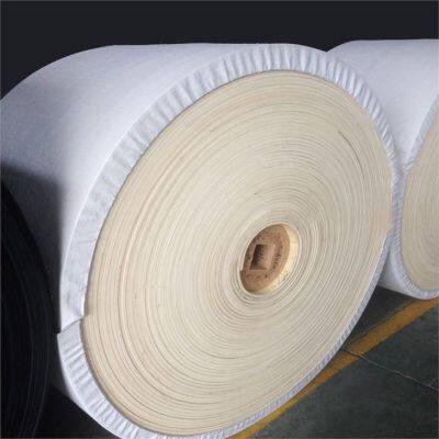 White Conveyor Belts