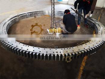 Ltm1040 LTF1035 Slewing Bearing Mobile Crane TG-800 Gear Swing Ring photo-5