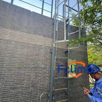 Вертикальная страховочная линия для системы лестницы защитного клетчатого ограждения автоматизированного хранилища завода. Антипроваливная защита с сертификатом CE