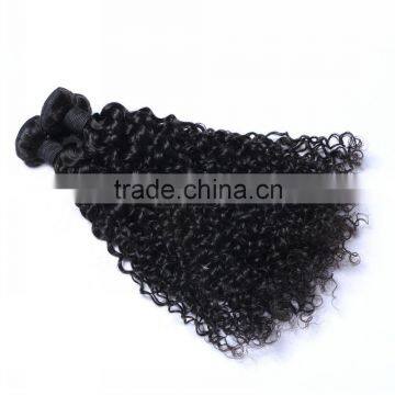 Fashion Afro Kinky Curly Indian Remy Hair Curly Weave Extension China Suppliers That Accept Paypal