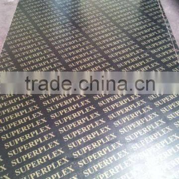 Ukraine market film faced plywood,Russia market film faced plywood