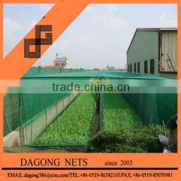 Green anti insect net