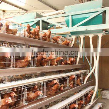 Q235 material automatic feeding A type hot galvanized & electric galvanzied design layer chicken cages chicken cage