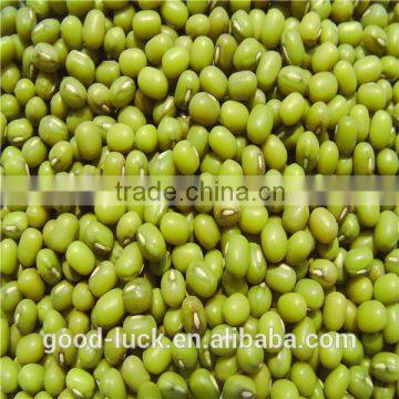 heilongjiang green mung beans ( food grade)