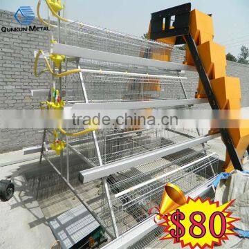 Chicken and poultry farming use type poultry farming equipment