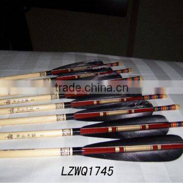 Feather Arrows LZWQ1745