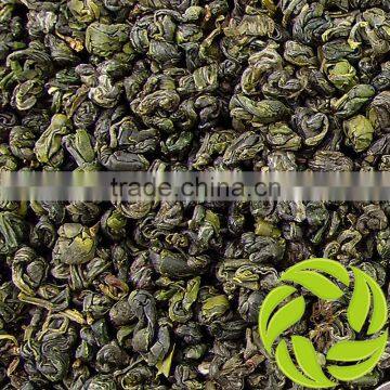 Hot selling china tea anti-aging green tea pearl lvzhucha organic gunpowder green tea