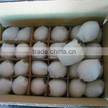 Chinese fresh su pear