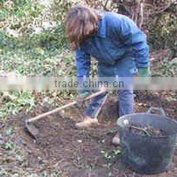 plastic gardening buckets,storage pails&tools,plastic Trug,REACH