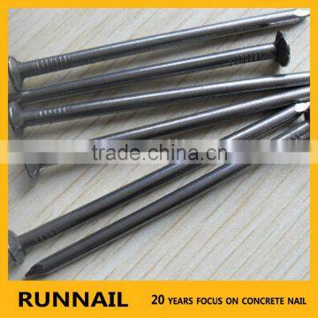 Competitive Common Iron Nail for Construction Use--20 Years Factory