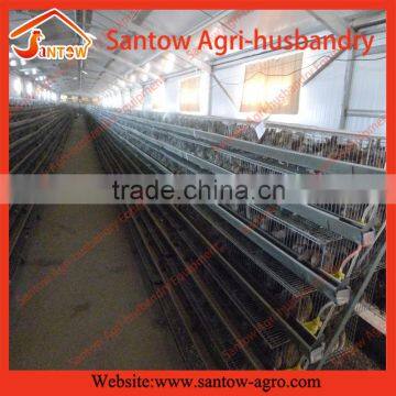 Hot Sale Cages for Broiler Chicken Quail photo-3