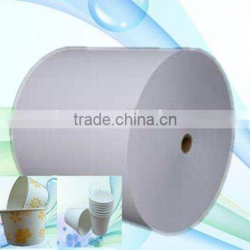 Food Grade One Side pe Coated Paper in Roll/paper in Sheet for Paper Cup, Paper Cup Raw Material photo-3