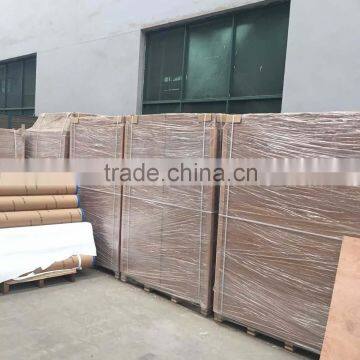Semi-glossy Eco-solvent Polyester Roll Canvas Ink photo-5
