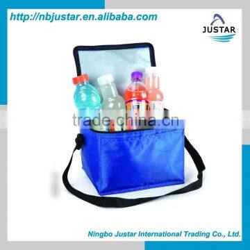 Promotional Foldable 600D 420D Polyester Small Disposable Ice Cooler Bags with Durable Liner