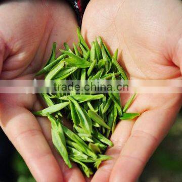 Fresh organic tea cetificated slim fit tea