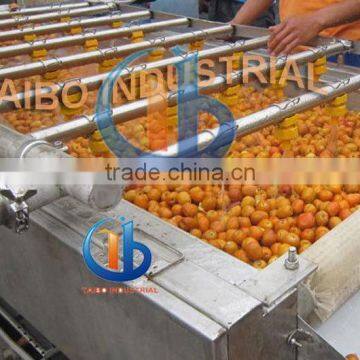 High Performance Automatic Industrial Fruit Washing Machine photo-6