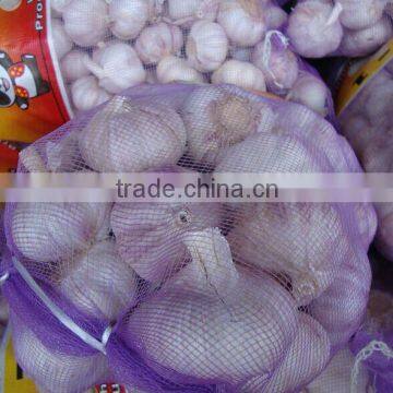 purple mesh bag fresh normal white garlic