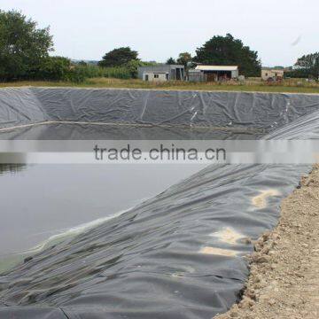 HDPE Geomembrane / HDPE Liner Sheet For Fish Farming photo-3