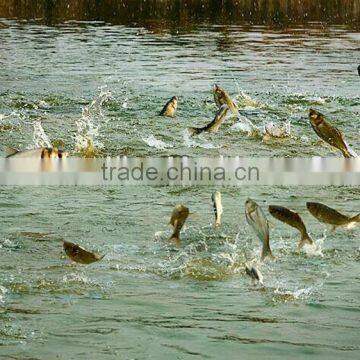 Electric Fish Feeder, Fish Farm Feeder, Fish Feed Throwing Machine photo-6