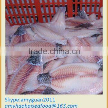 Frozen tilapia fillet skin on tail(Iran market)