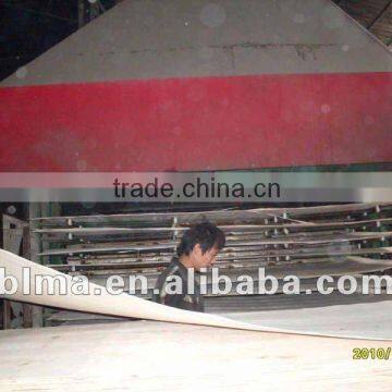 6mm MR Commercial plywood Sell Best