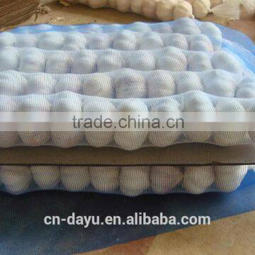 Red White Garlic Supplier 2016 Fresh